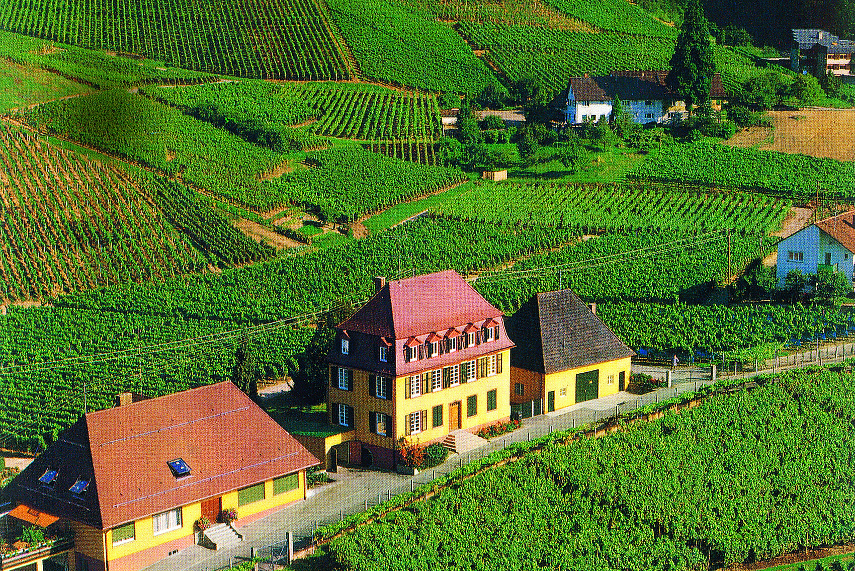 Monumentum der Erinnerung!